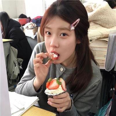 藏獒多吉